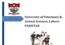 Manual Of Commonly Used Drugs In Pet Practice