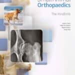 Small Animal Orthopaedics. The Hindlimb PDF Download