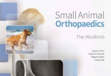Small Animal Orthopaedics. The Hindlimb PDF Download