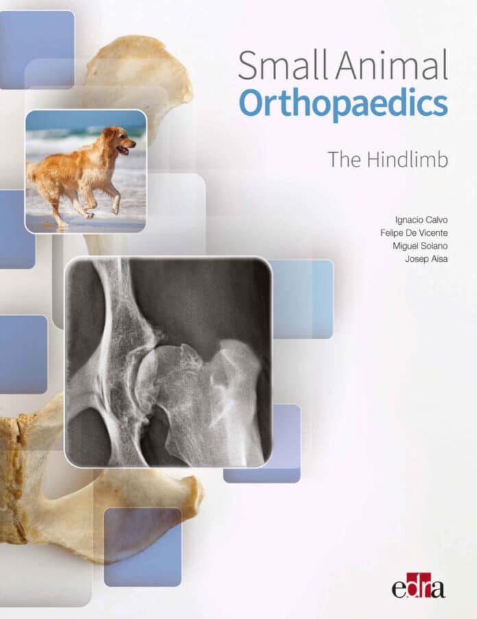 Small Animal Orthopaedics. The Hindlimb PDF Download