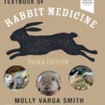 Textbook of Rabbit Medicine 3rd Edition