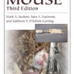 The Laboratory Mouse, 3rd Edition