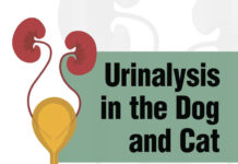 Urinalysis in the Dog and Cat PDF Download