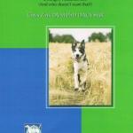 Discovering Your Dog: New Information on How to Give Your Canine Pal a Longer, Healthier Life PDF