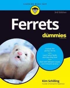 Ferrets-For-Dummies-3rd-Edition