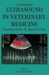 Ultrasound in Veterinary Medicine Fundamentals and Applications PDF