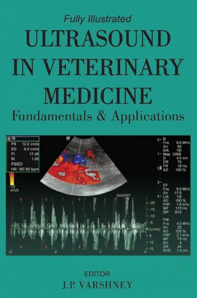 Ultrasound in Veterinary Medicine Fundamentals and Applications PDF Download