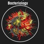 Veterinary Bacteriology - Patricia Marques