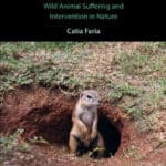 Animal Ethics in the Wild: Wild Animal Suffering and Intervention in Nature