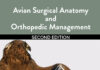 Avian Surgical Anatomy And Orthopedic Management, 2Nd Edition