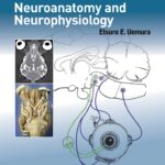 Fundamentals of Canine Neuroanatomy and Neurophysiology PDF Download