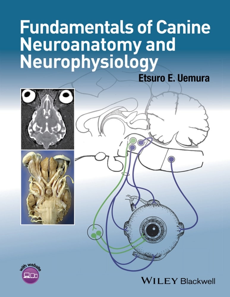 Fundamentals Of Canine Neuroanatomy And Neurophysiology Pdf Download