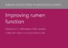 Improving Rumen Function Improving Rumen Function