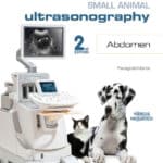 Practical Small Animal Ultrasonography: Abdomen 2nd Edition PDF Download