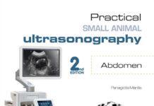 Practical Small Animal Ultrasonography: Abdomen 2nd Edition PDF Download