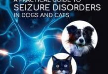A Practical Guide to Seizure Disorders in Dogs and Cats PDF Download