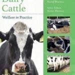 Dairy Cattle Welfare in Practice
