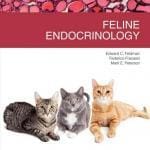 Feline Endocrinology PDF Download