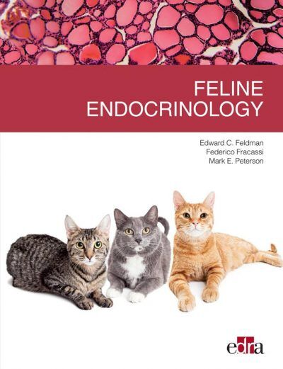Feline Endocrinology PDF Download