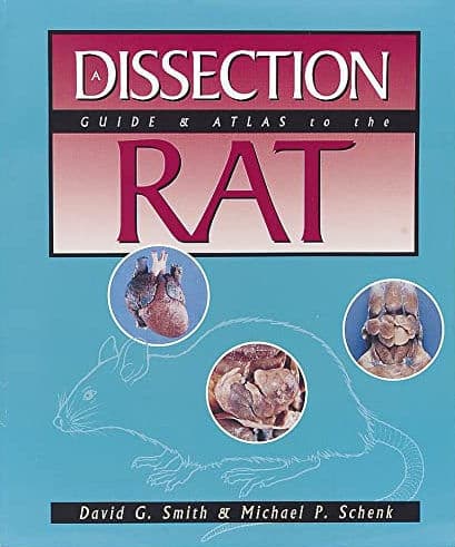 A Dissection Guide And Atlas To The Rat Pdf