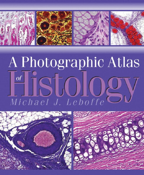 A Photographic Atlas Of Histology Pdf