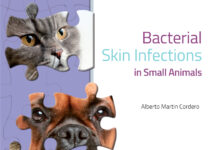 Bacterial Skin Infections in Small Animals