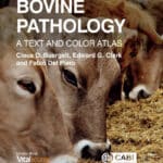 Bovine Pathology: A Text and Color Atlas