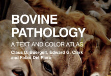Bovine Pathology: A Text and Color Atlas
