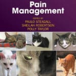 Feline Anesthesia and Pain Management PDF