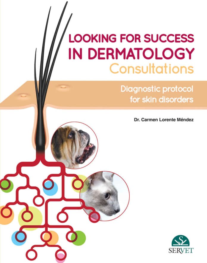 looking-for-success-in-dermatology-consultations-diagnostic-protocol-for-skin-disorders