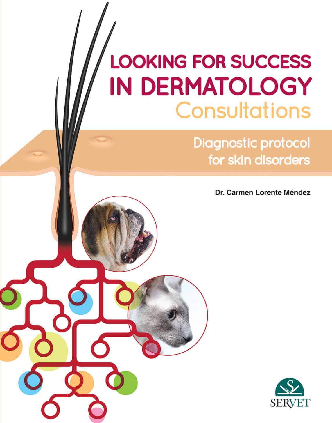 Looking For Success In Dermatology Consultations. Diagnostic Protocol For Skin Disorders Pdf Download