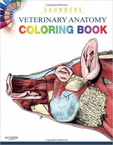 Saunders Veterinary Anatomy Coloring Book PDF Download