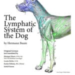 The Lymphatic System of the Dog PDF Download