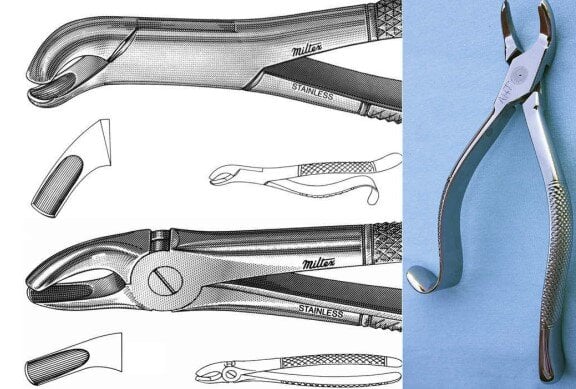 Vet Dental Forceps, Veterinary Dental Equipment and Instruments