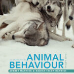 An Introduction to Animal Behaviour 6th Edition PDF