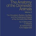 The Anatomy of the Domestic Animals: Volume 3, The Circulatory System, The Skin, and the Cutaneous Organs of the Domestic Mammals