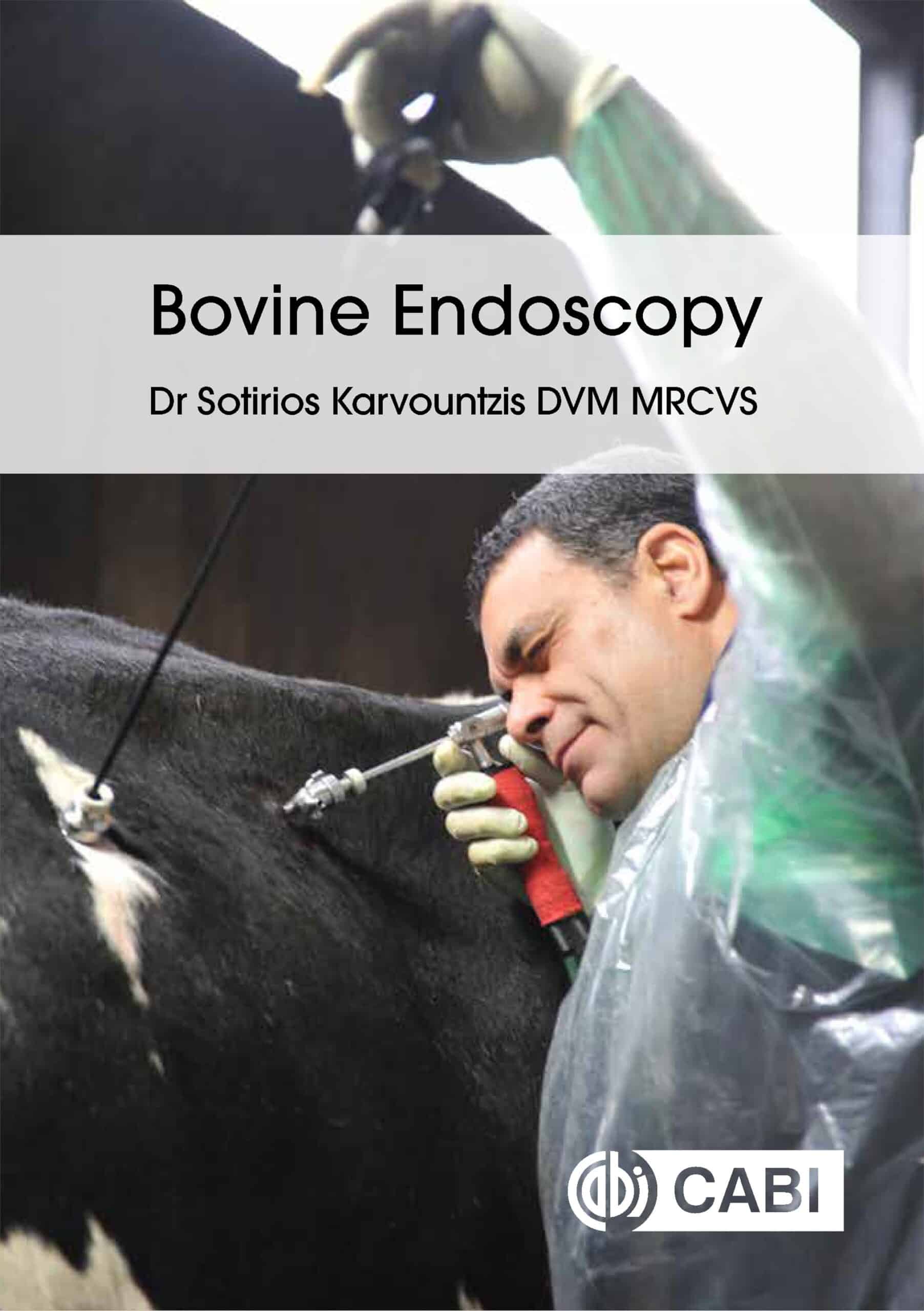 Bovine Endoscopy Scaled