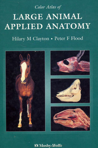 Color Atlas of Large Animal Applied Anatomy, 1st edition