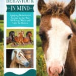 Equine Behaviour in Mind: Applying Behavioural Science to the Way We Keep, Work and Care for Horses