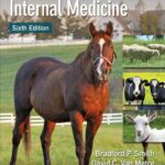 Large Animal Internal Medicine 6th Edition
