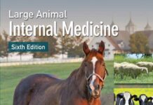 Large Animal Internal Medicine 6th Edition
