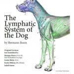 The Lymphatic System of the Dog