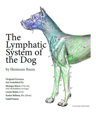 The Lymphatic System of the Dog PDF