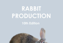 Rabbit Production 10th Edition PDF Download