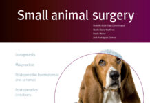 Small Animal Surgery: Errors and Complications in Surgery PDF Download