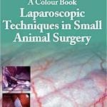 A Colour Book: Laparoscopic Techniques In Small Animal Surgery