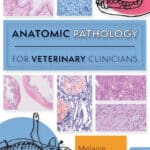 Anatomic Pathology for Veterinary Clinicians PDF Download