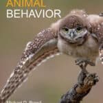Animal Behavior 3rd Edition PDF Download
