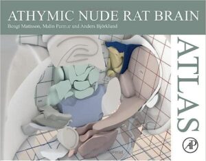 Athymic Nude Rat Brain Atlas