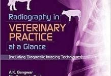 Radiography in Veterinary Practice At a Glance Including Diagnostic Imaging Techniques by A. K. Gangwar